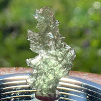 Small Besednice Moldavite Genuine Certified 1.1 grams