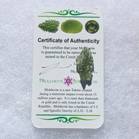 Small Besednice Moldavite Genuine Certified 1.3 grams