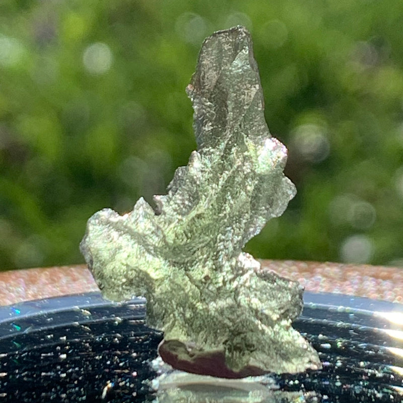 Small Besednice Moldavite Genuine Certified 1.0 grams