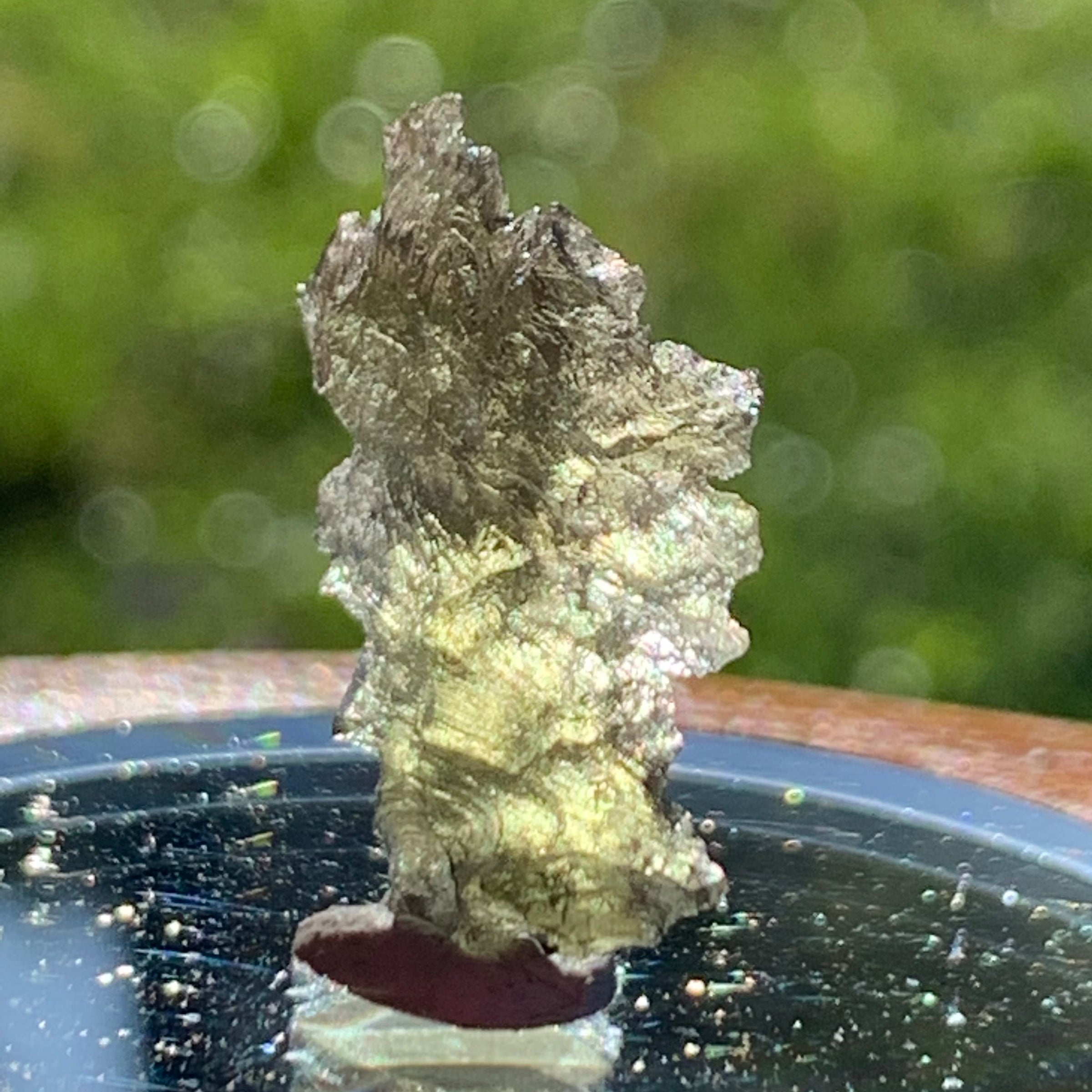 Small Besednice Moldavite Genuine Certified 1.0 grams