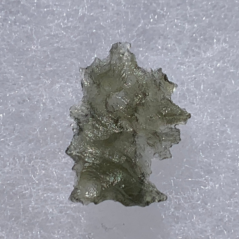 Small Besednice Moldavite Genuine Certified 1.0 grams