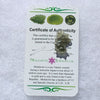 Small Besednice Moldavite Genuine Certified 1.0 grams