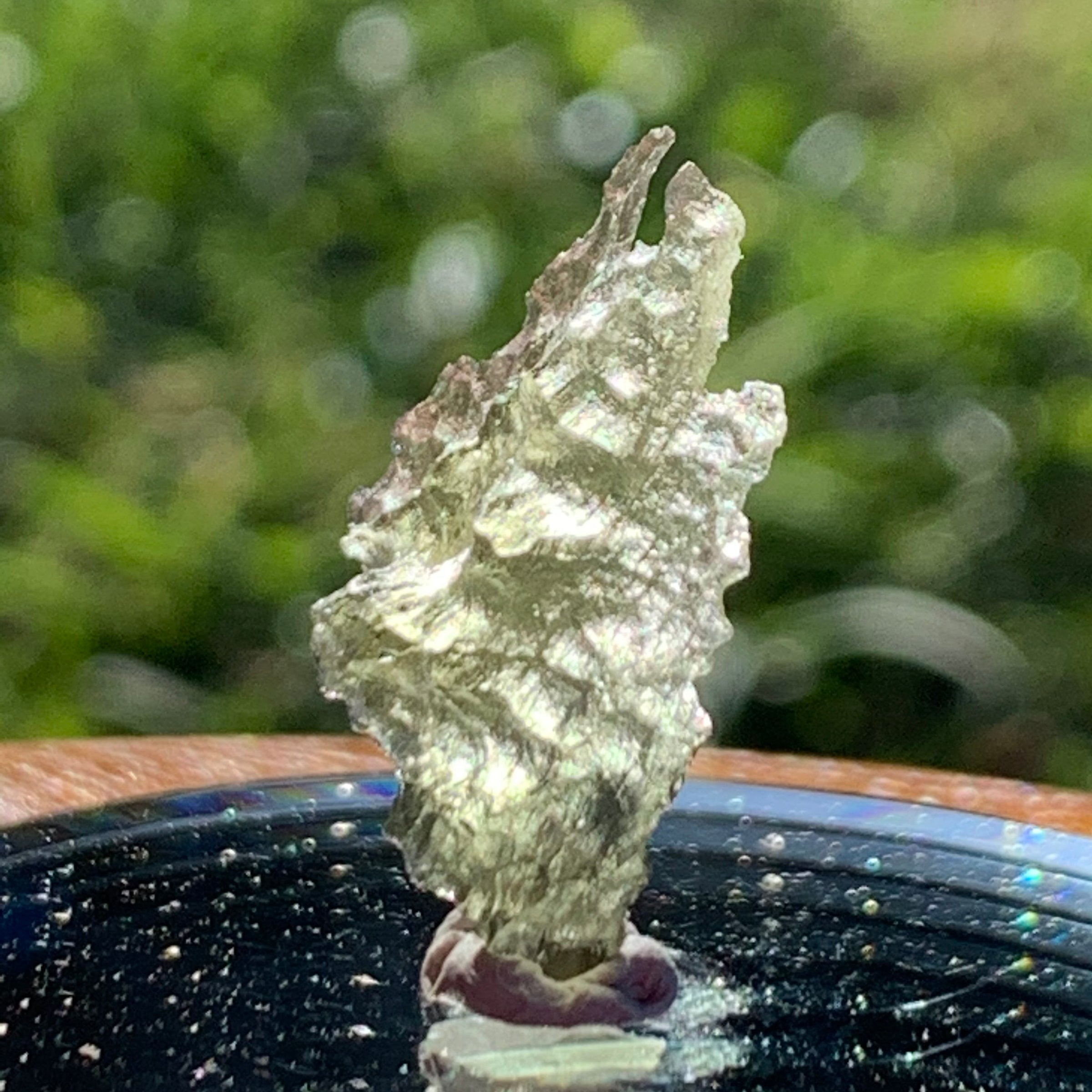 Small Besednice Moldavite Genuine Certified 0.6 grams