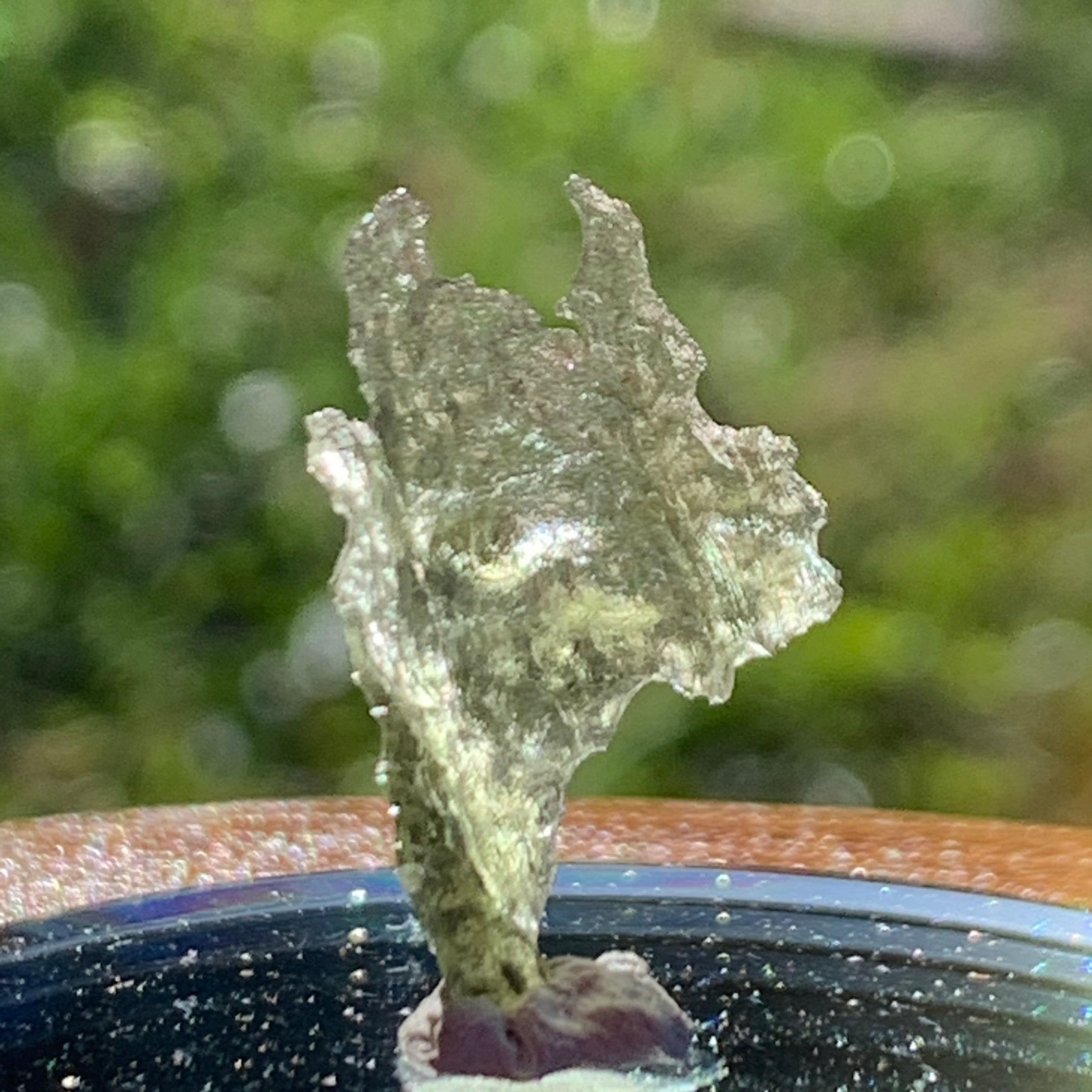 Small Besednice Moldavite Genuine Certified 0.6 grams