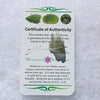 Small Besednice Moldavite Genuine Certified 0.6 grams