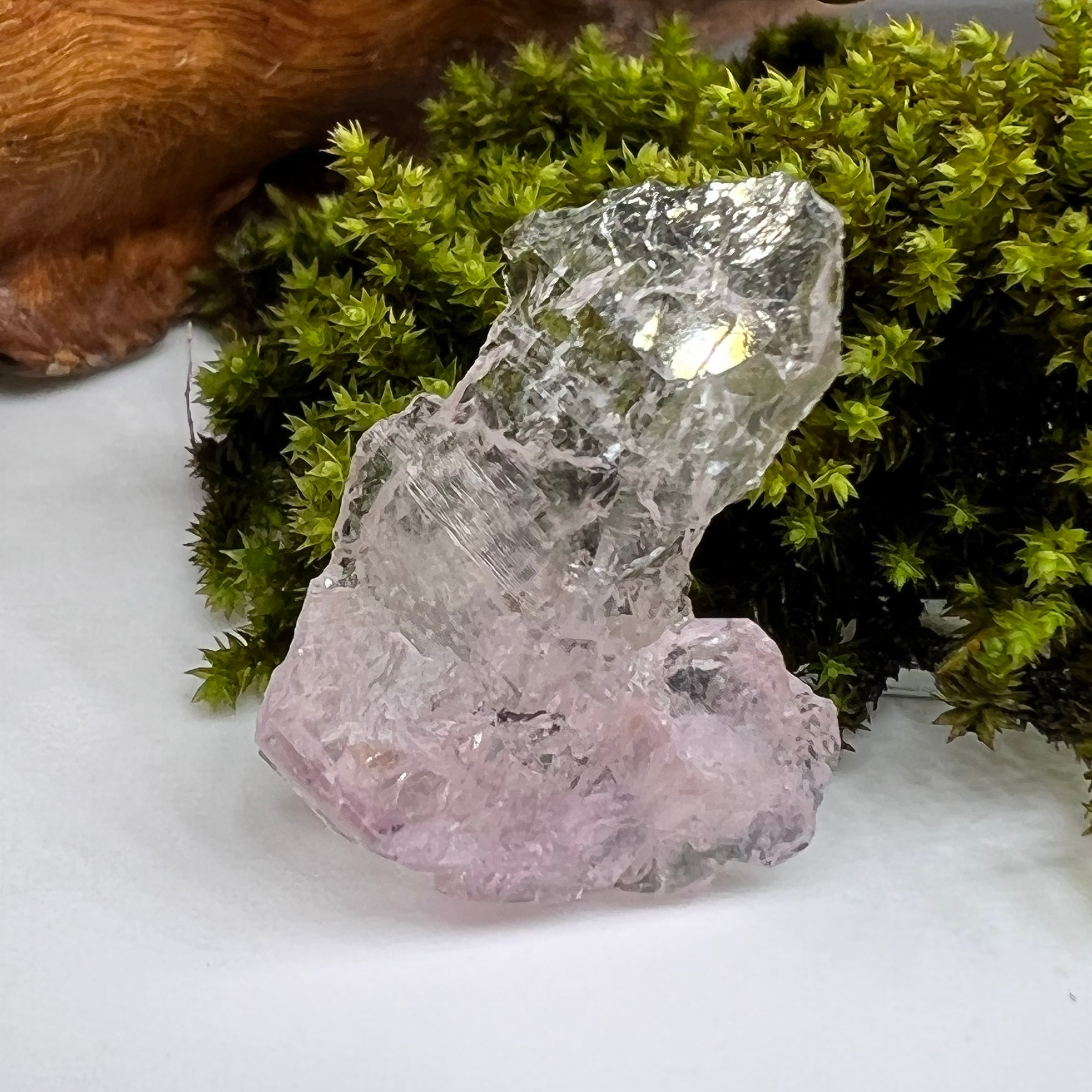 Crystalized Rose Quartz #133-Moldavite Life