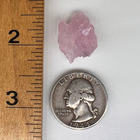 Crystalized Rose Quartz #135-Moldavite Life