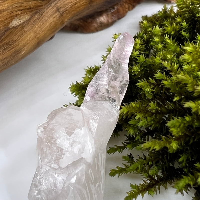 Crystalized Rose Quartz Reverse Scepter #142-Moldavite Life