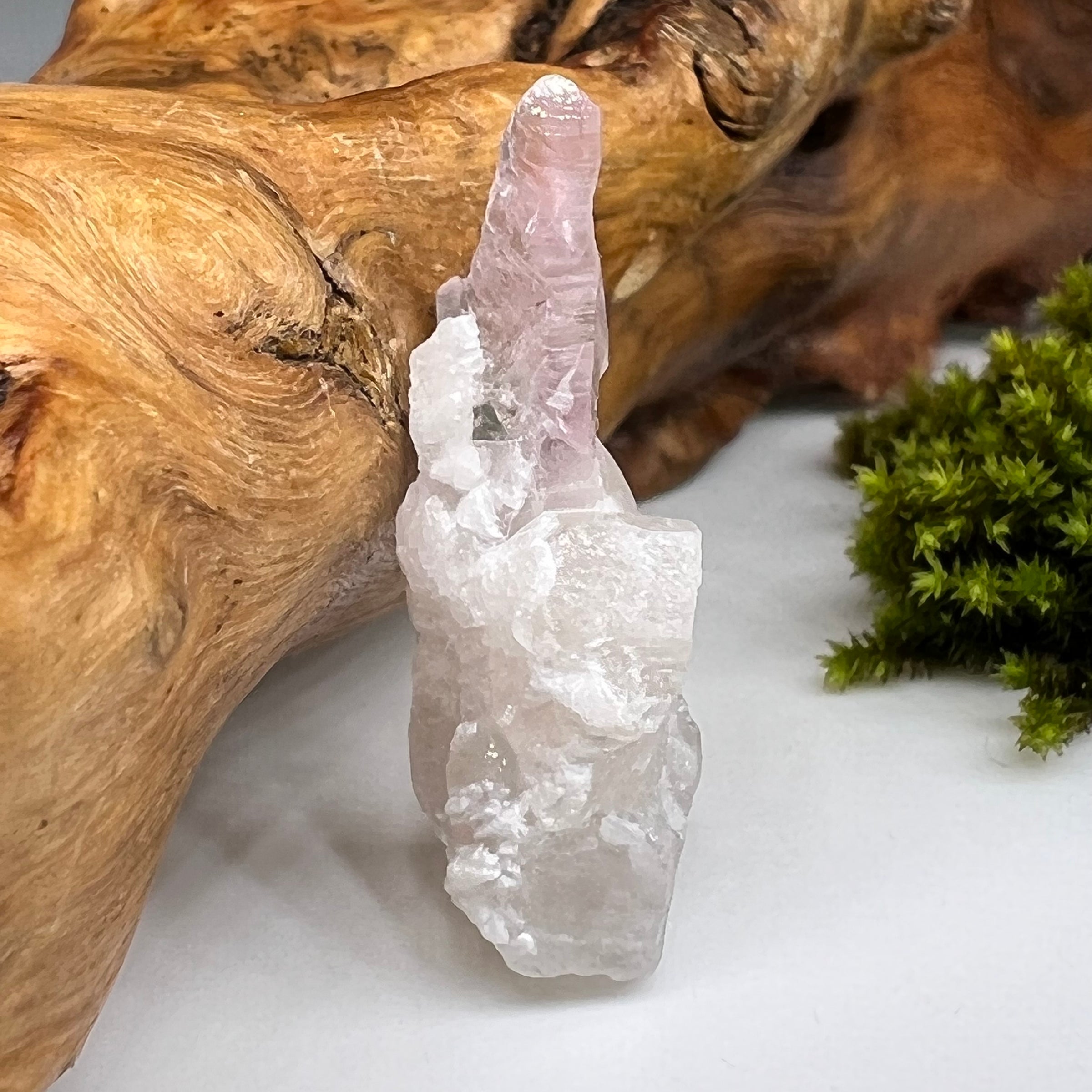 Crystalized Rose Quartz Reverse Scepter #142-Moldavite Life