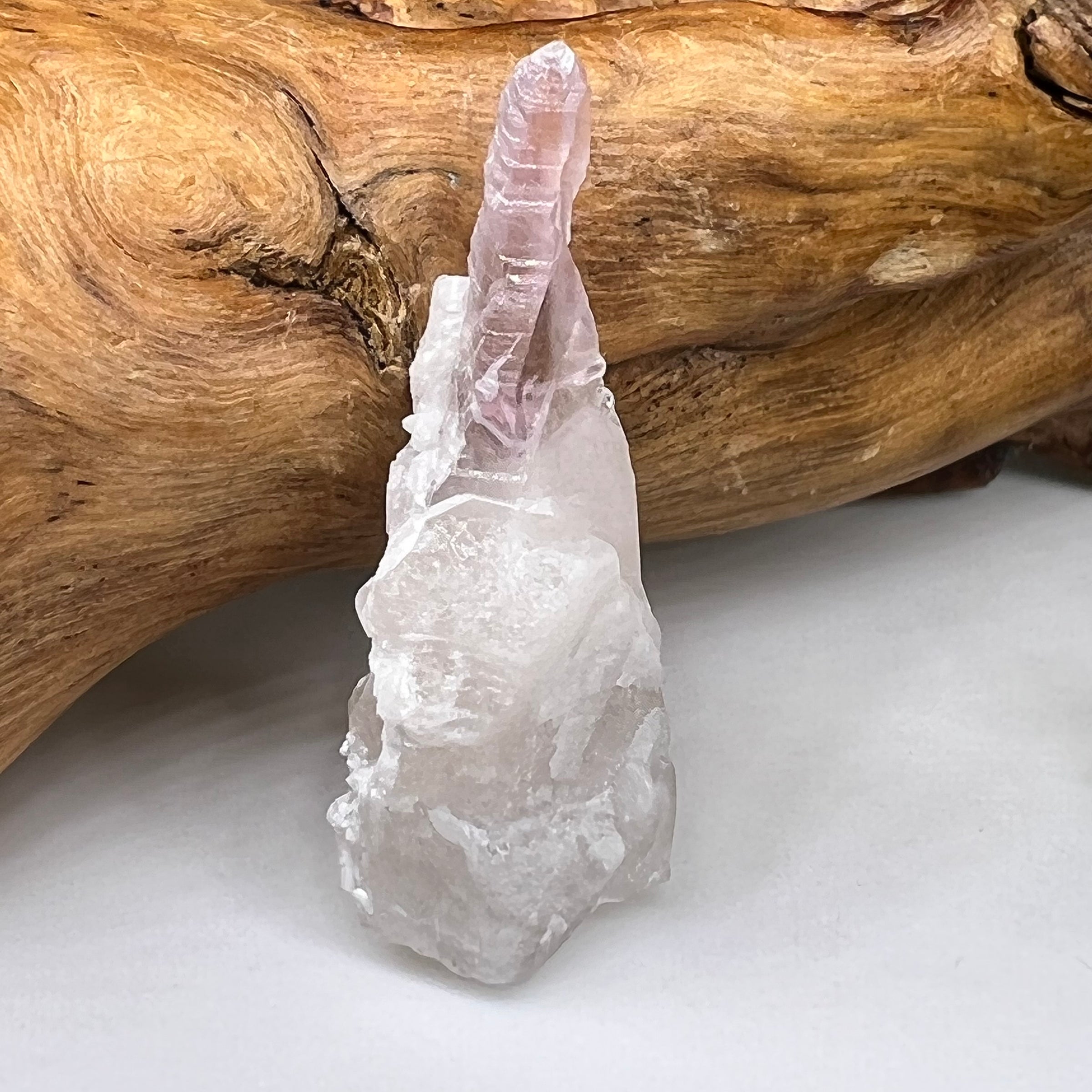 Crystalized Rose Quartz Reverse Scepter #142-Moldavite Life