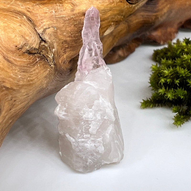 Crystalized Rose Quartz Reverse Scepter #142-Moldavite Life