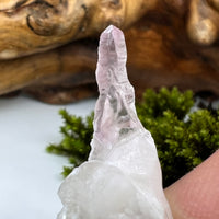 Crystalized Rose Quartz Reverse Scepter #142-Moldavite Life