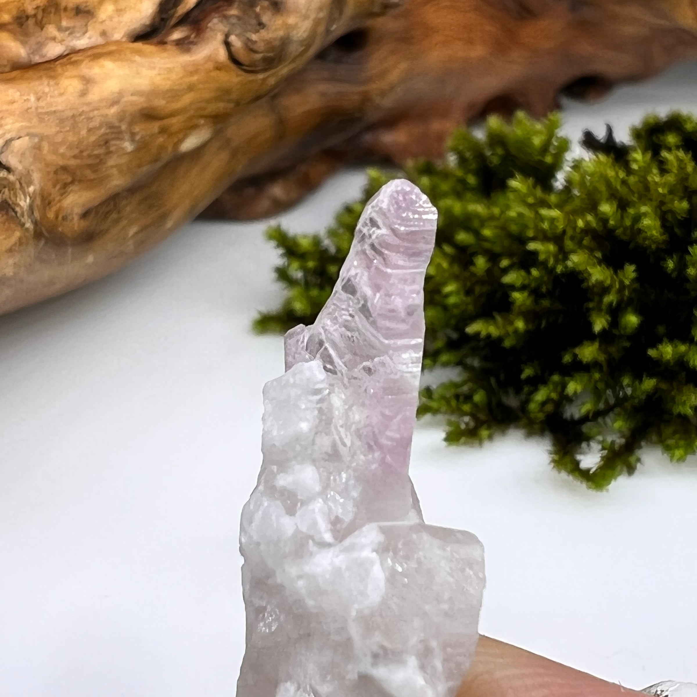 Crystalized Rose Quartz Reverse Scepter #142-Moldavite Life