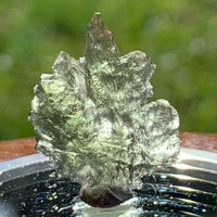 Besednice Moldavite Genuine Certified 1.3 grams Small