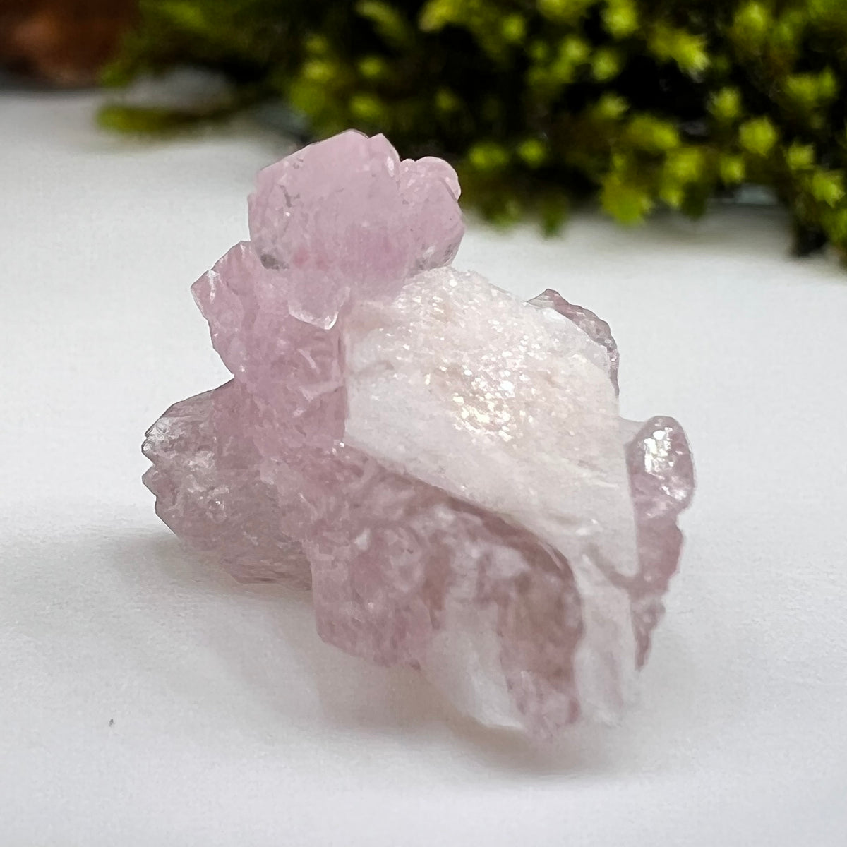 Crystalized Rose Quartz #83-Moldavite Life