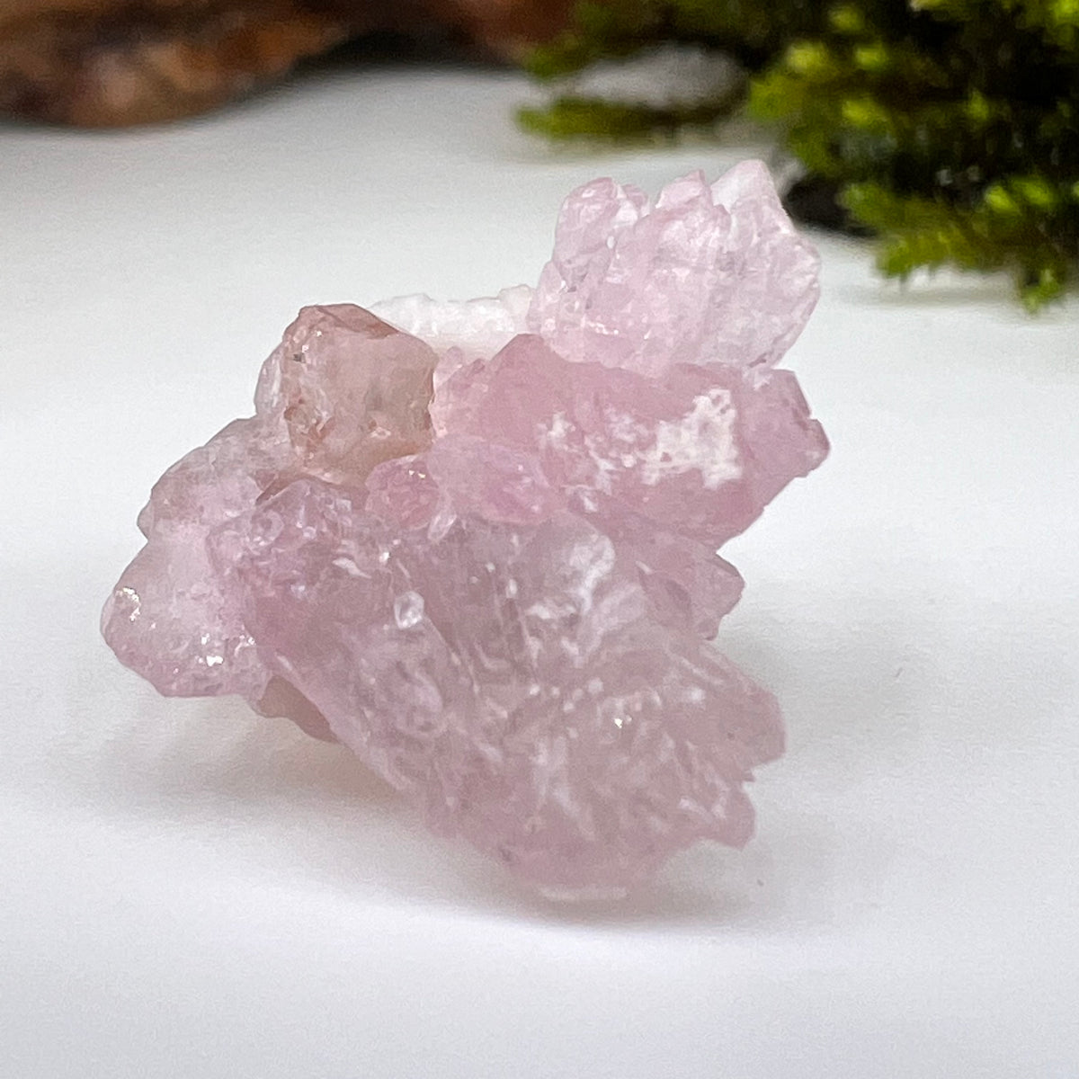 Crystalized Rose Quartz #83-Moldavite Life