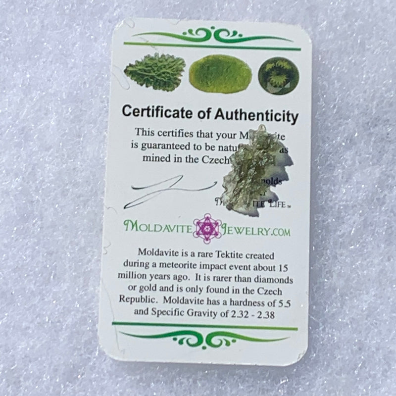 Besednice Moldavite Genuine Certified 0.6 grams Small