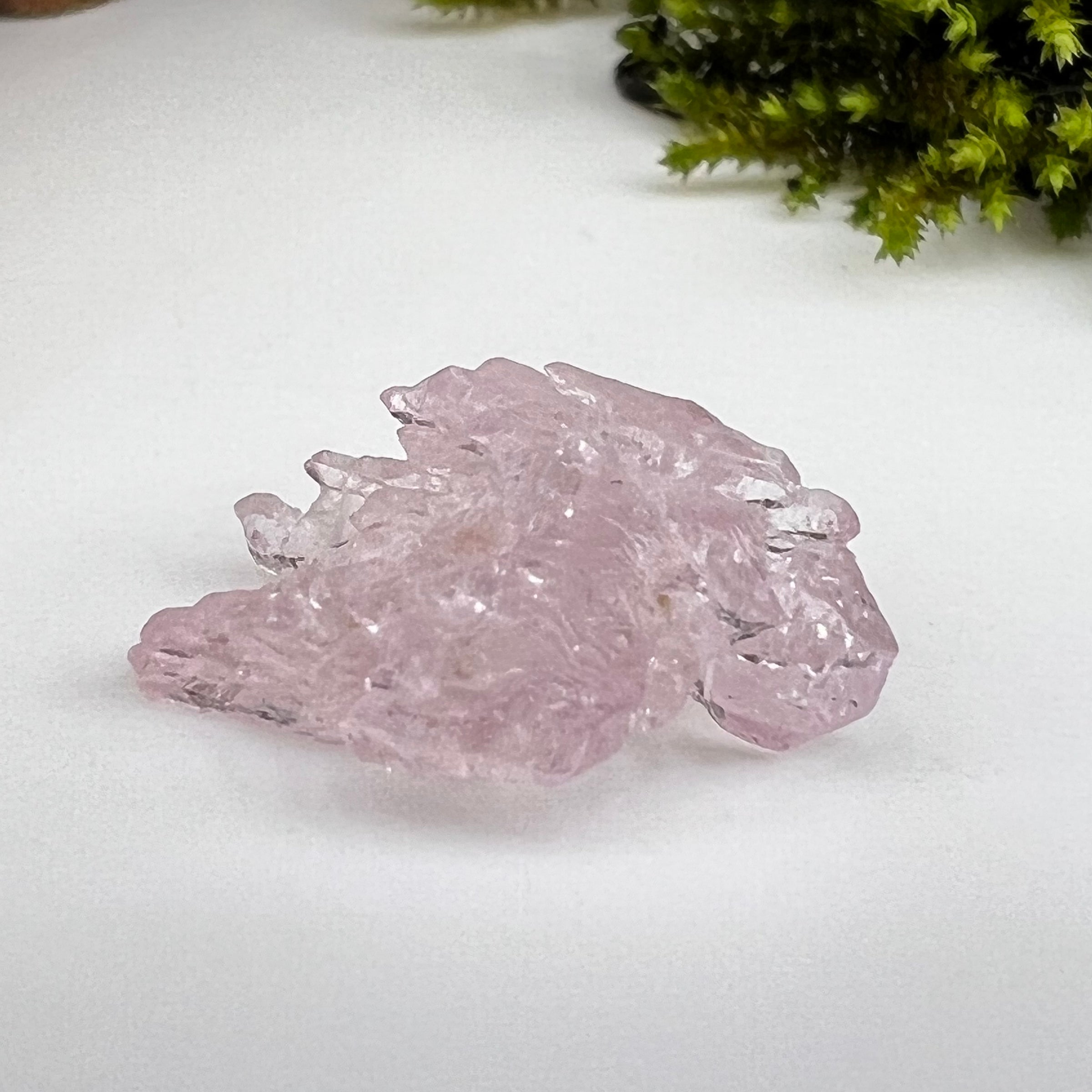 Crystalized Rose Quartz #88-Moldavite Life