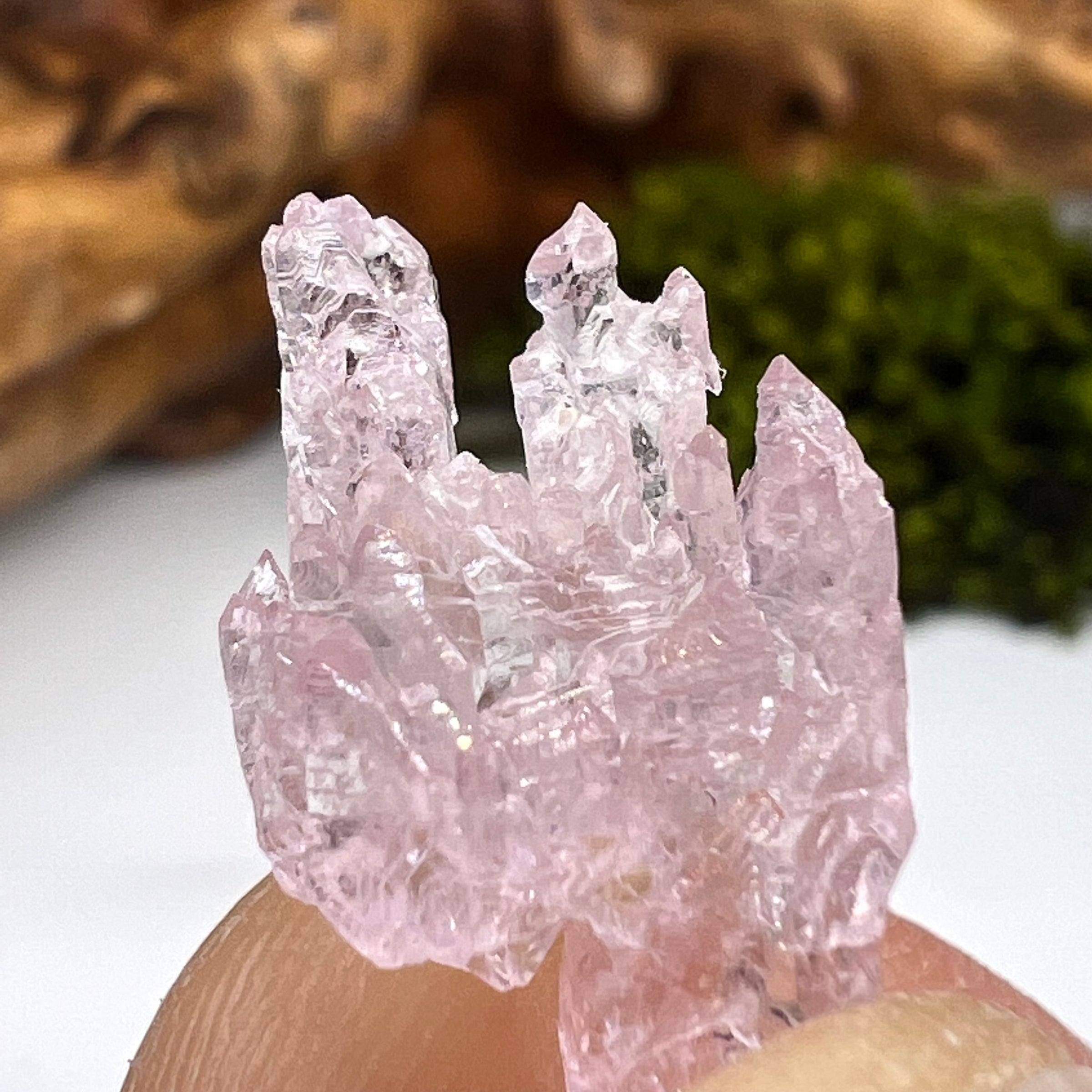 Crystalized Rose Quartz #88-Moldavite Life