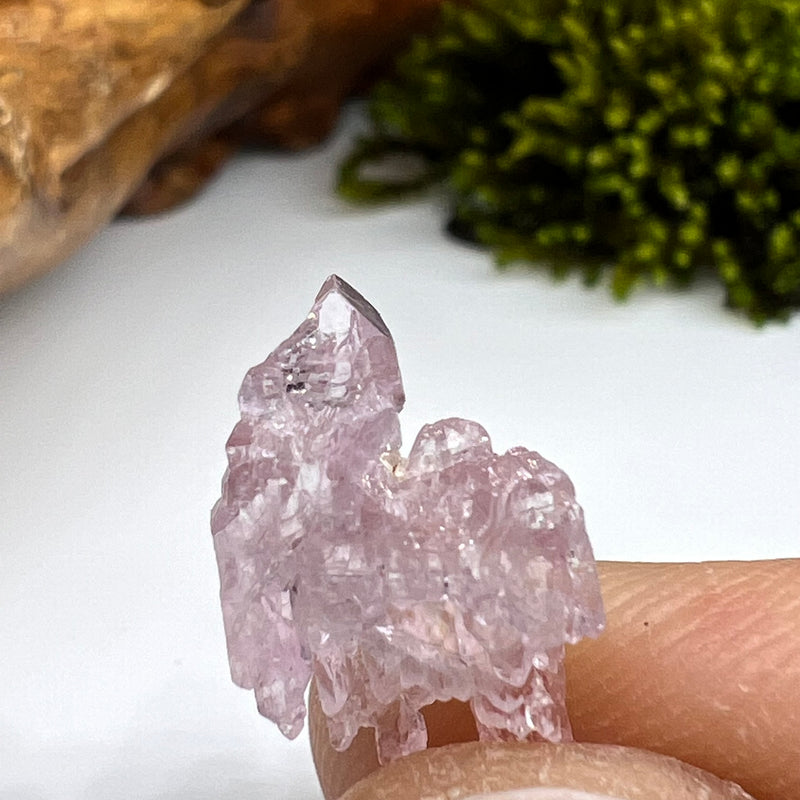 Crystalized Rose Quartz #88-Moldavite Life