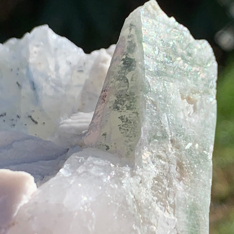 Phenacite Crystals in Matrix from Colorado