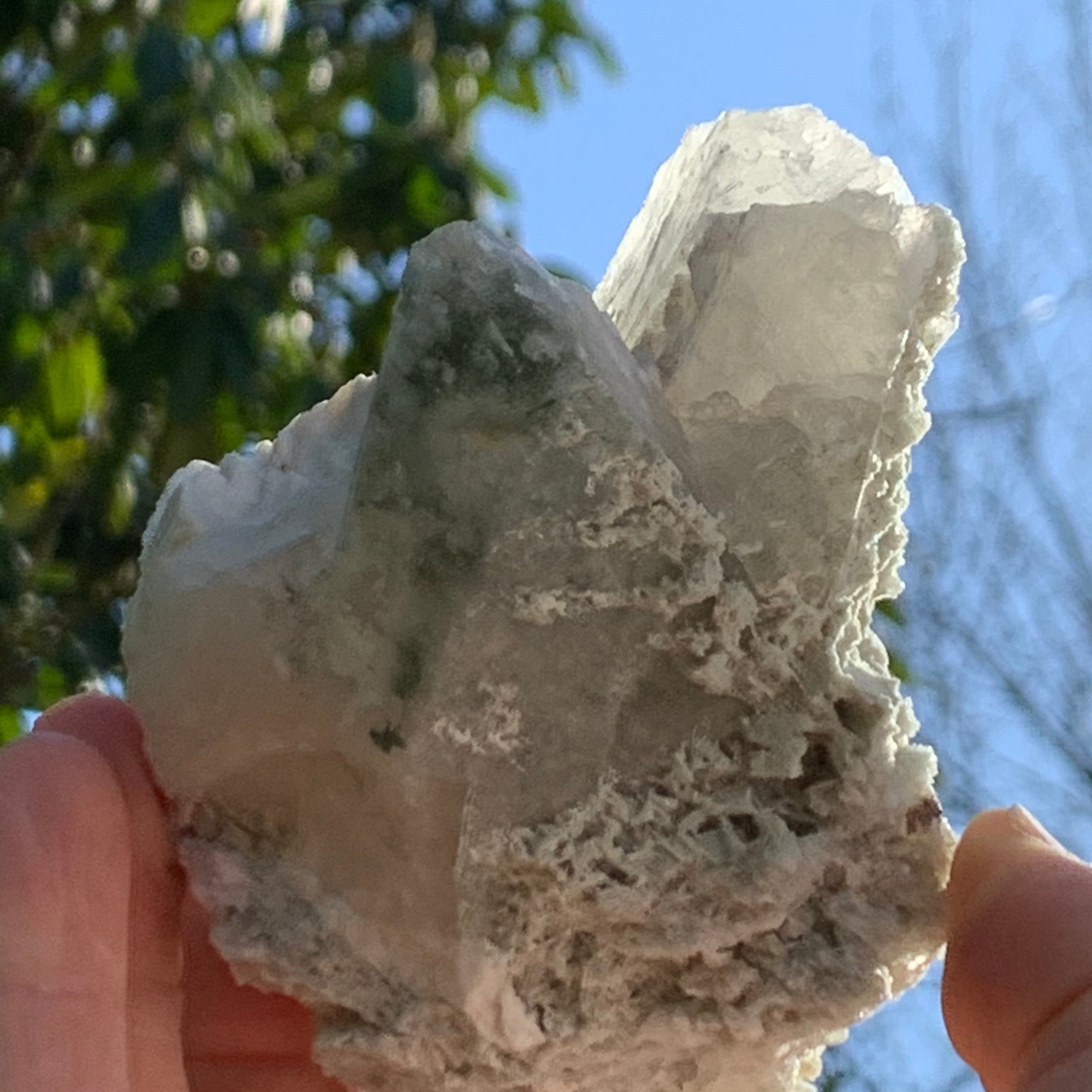 Phenacite Crystals in Matrix from Colorado