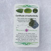 Moldavite Genuine Certified Czech Republic 1.2 grams