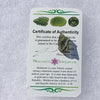 Moldavite Genuine Certified Czech Republic 1.1 grams