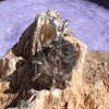 Lunar Meteorite Necklace Sterling Silver #2270-Moldavite Life