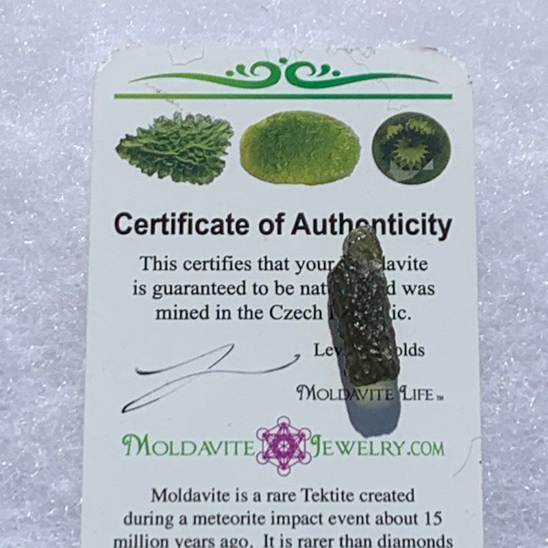 Moldavite Genuine Certified Czech Republic 1.0 gram