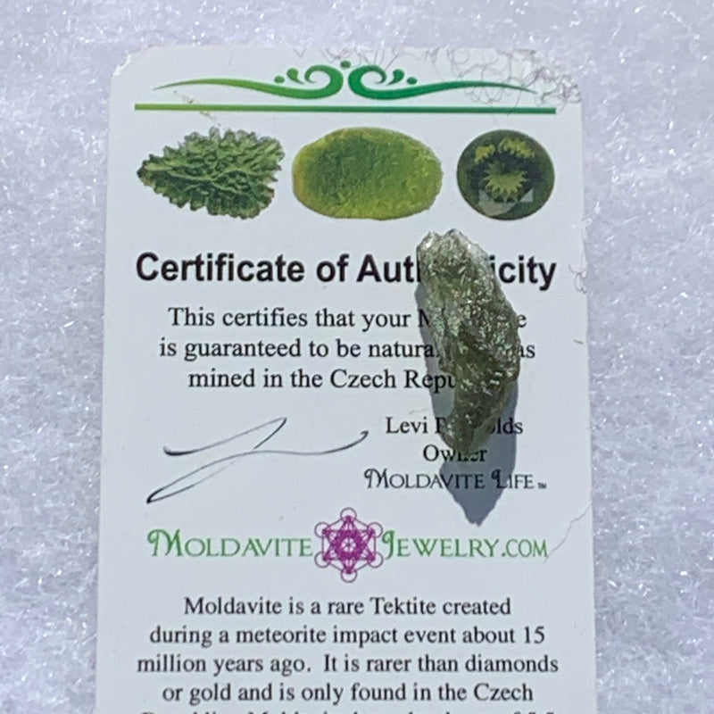 Moldavite Genuine Certified Czech Republic 1.0 gram