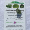Moldavite Genuine Certified Czech Republic 0.9 grams