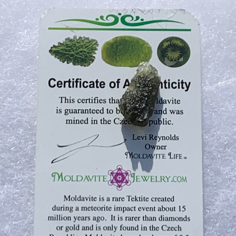 Moldavite Genuine Certified Czech Republic 1.4 grams