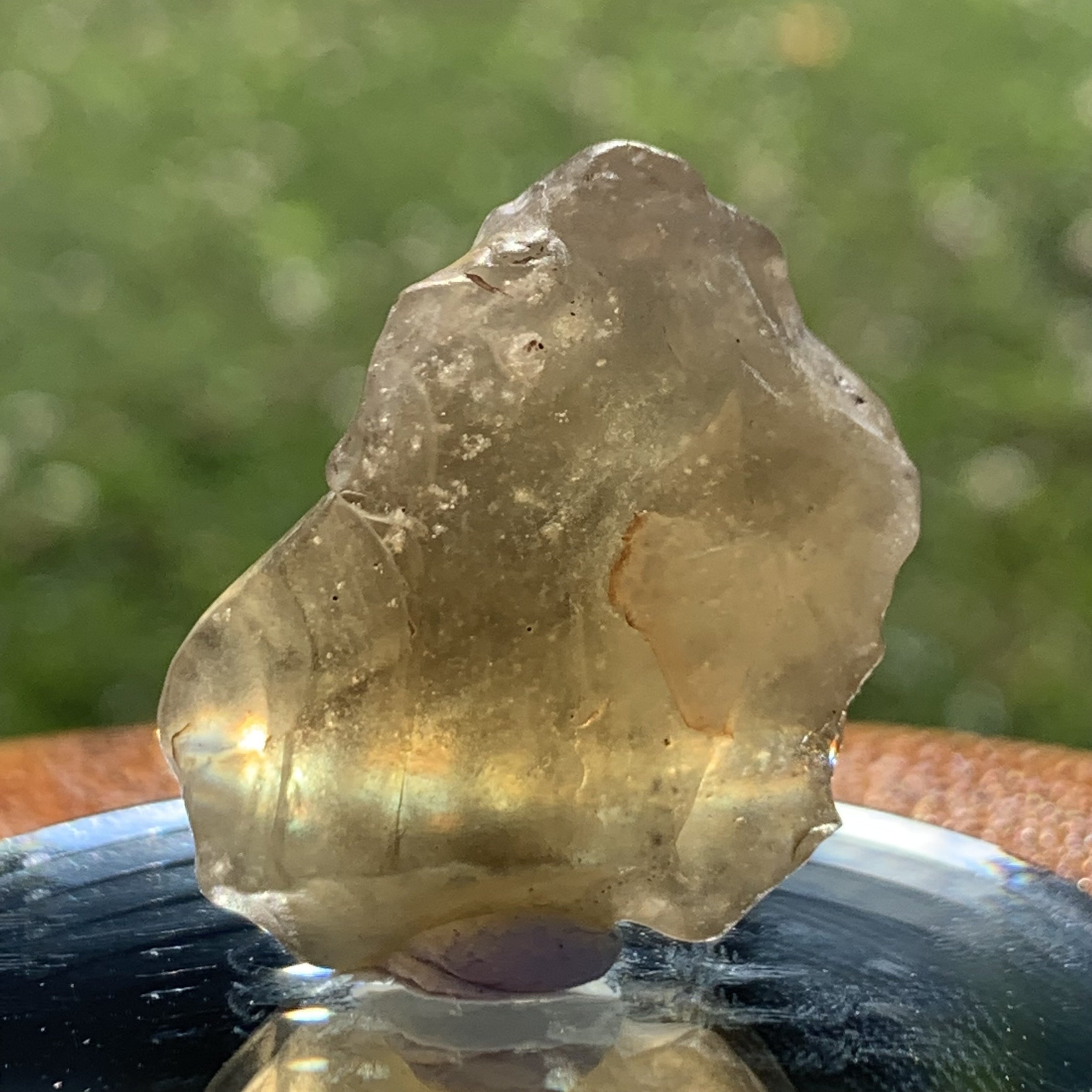 Libyan Desert Glass 11.9 grams-Moldavite Life