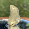Libyan Desert Glass 6.6 grams-Moldavite Life