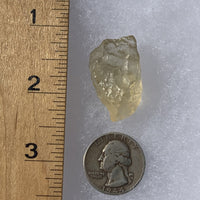 Libyan Desert Glass 8.7 grams-Moldavite Life