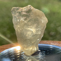 Libyan Desert Glass 8.7 grams-Moldavite Life