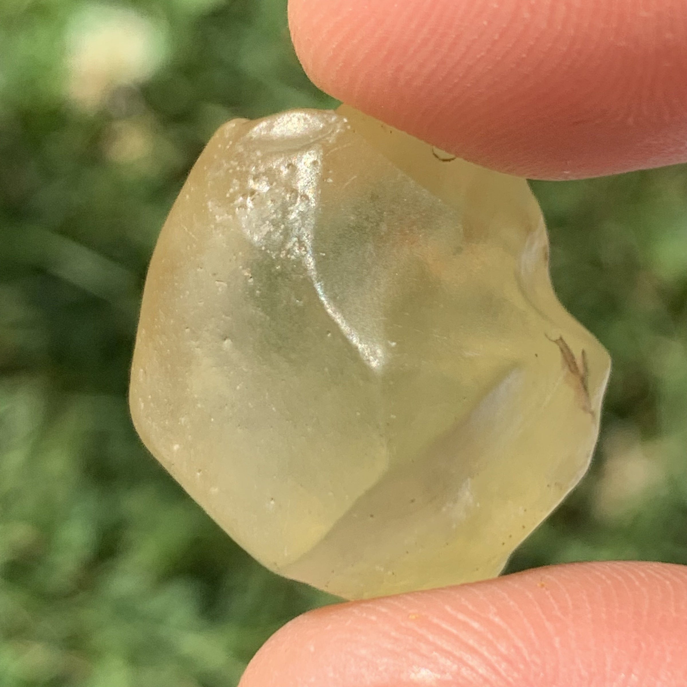 Libyan Desert Glass 8.8 grams-Moldavite Life