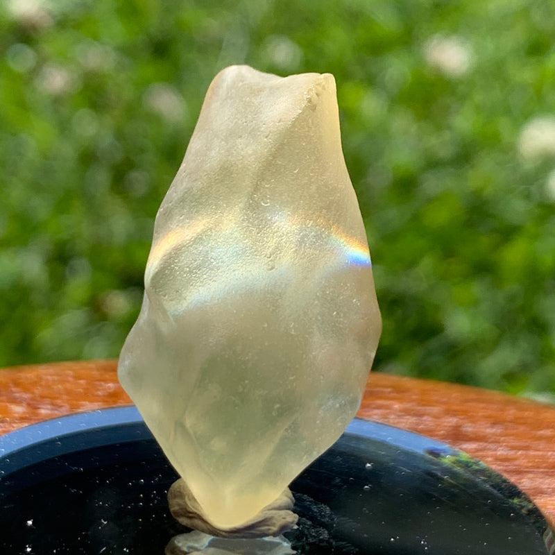 Libyan Desert Glass 8.4 grams-Moldavite Life