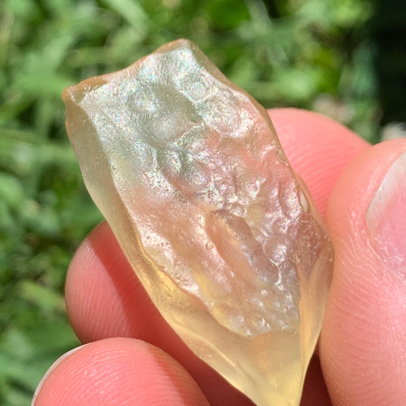 Libyan Desert Glass 8.4 grams-Moldavite Life