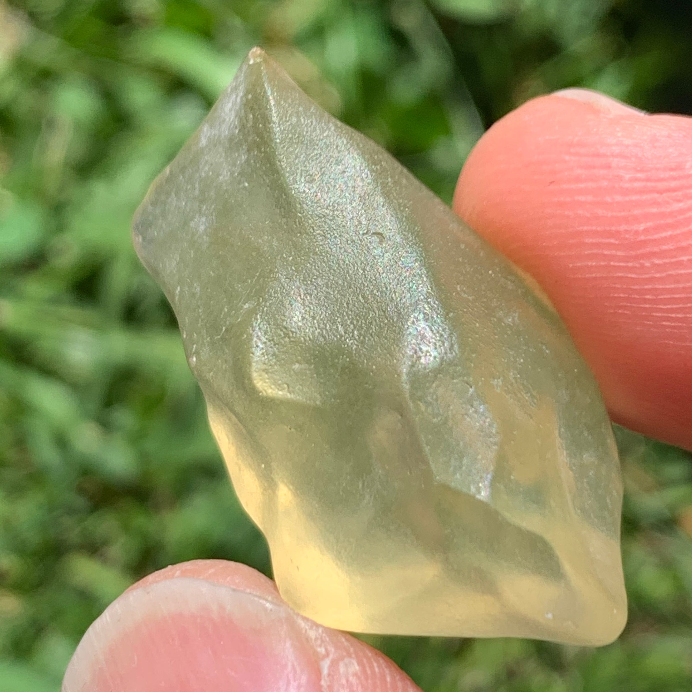 Libyan Desert Glass 8.4 grams-Moldavite Life