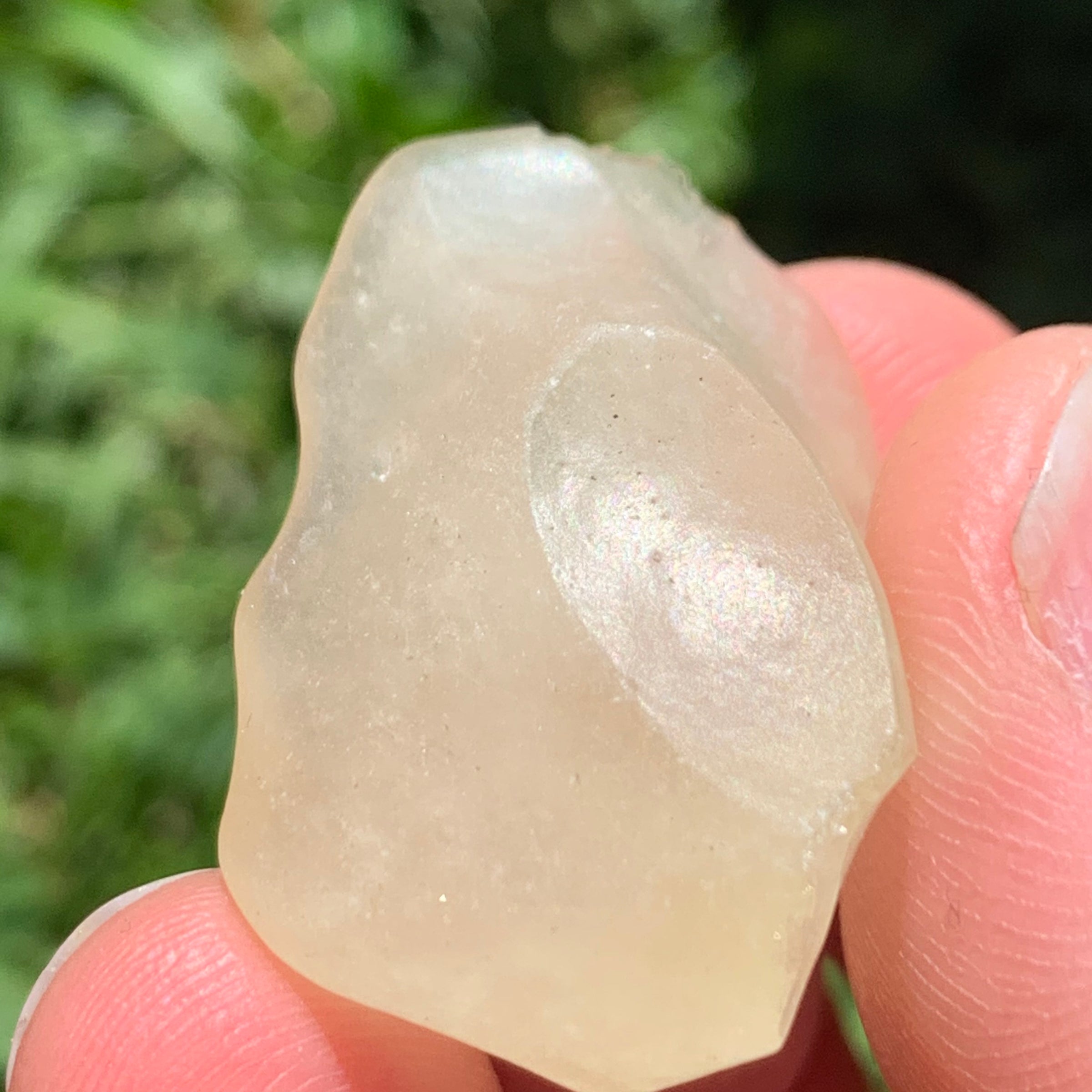 Libyan Desert Glass 8.7 grams-Moldavite Life