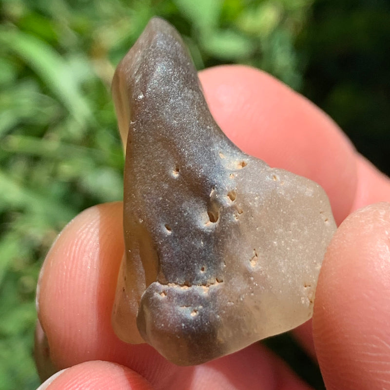 Libyan Desert Glass 7.4 grams-Moldavite Life