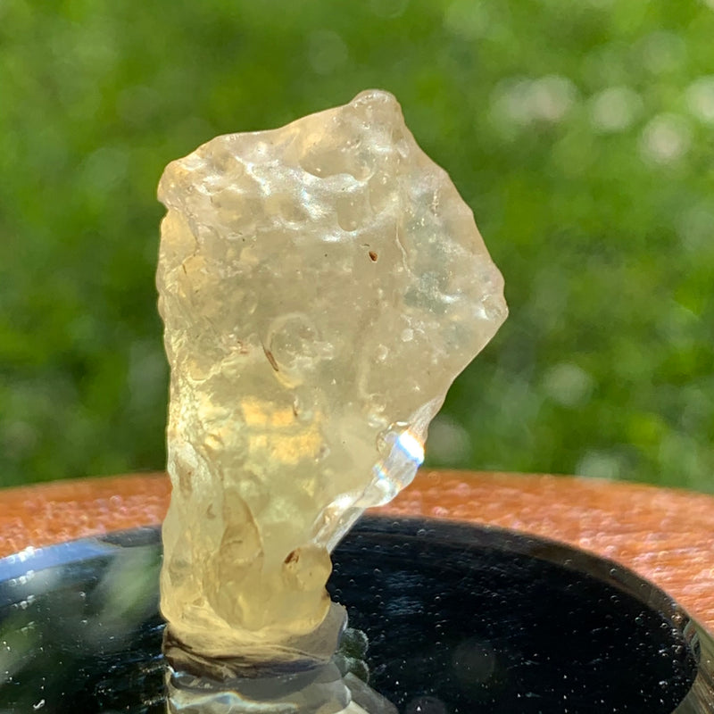 Libyan Desert Glass 9.2 grams-Moldavite Life