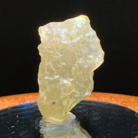 Libyan Desert Glass 9.2 grams-Moldavite Life