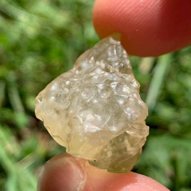 Libyan Desert Glass 9.2 grams-Moldavite Life