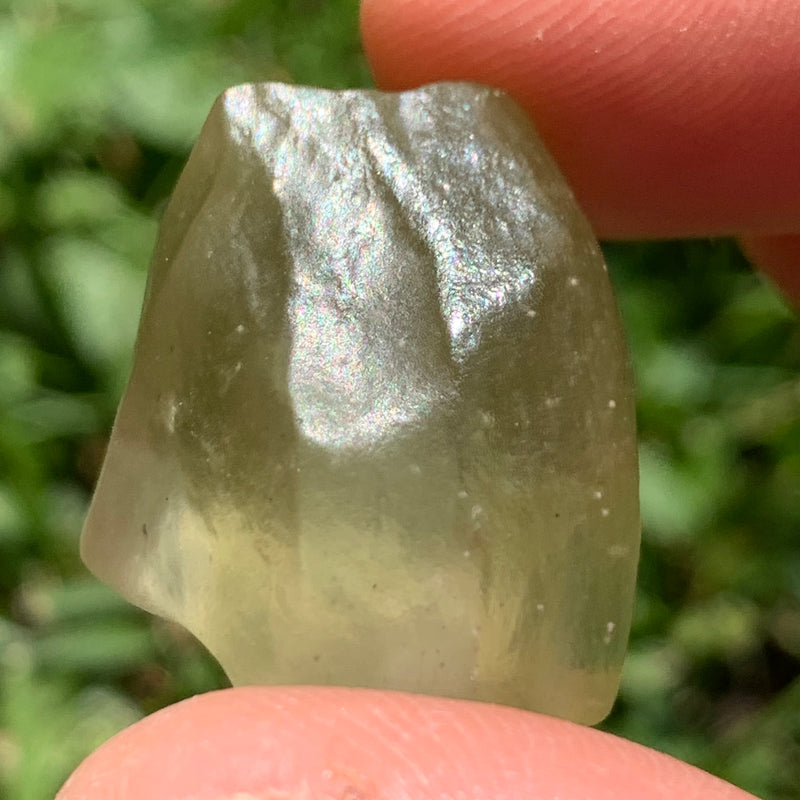 Libyan Desert Glass 12.0 grams-Moldavite Life