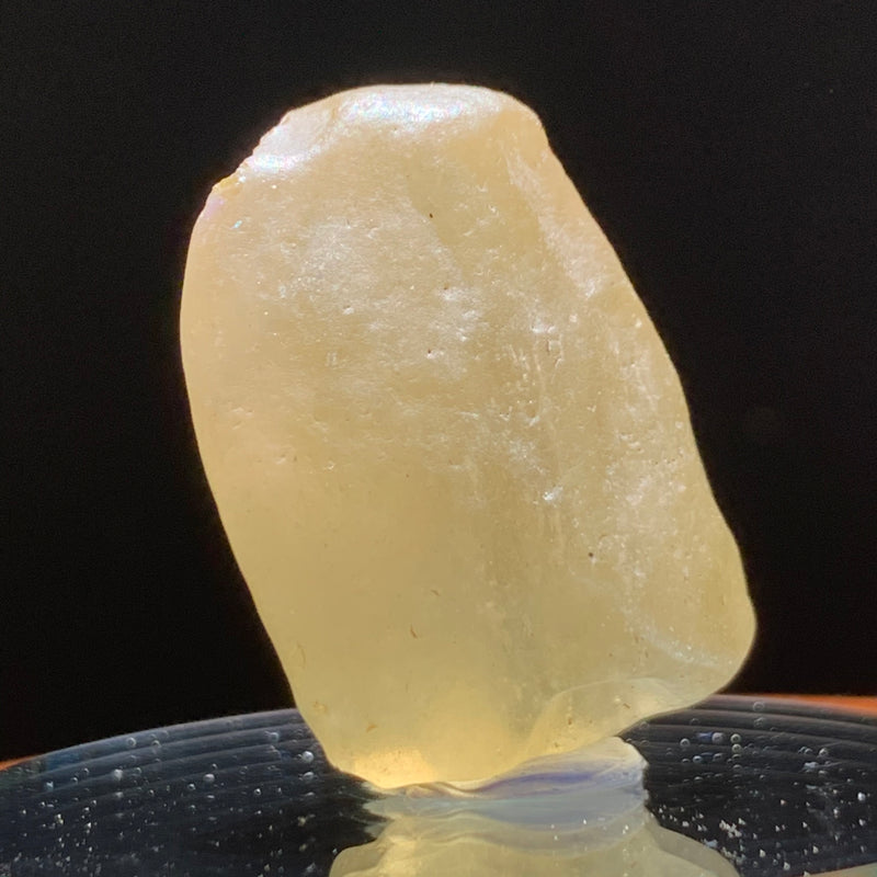 Libyan Desert Glass 11.8 grams-Moldavite Life
