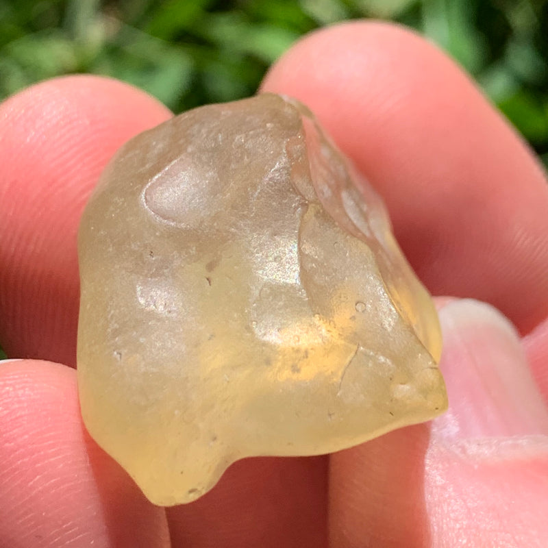 Libyan Desert Glass 8.7 grams-Moldavite Life