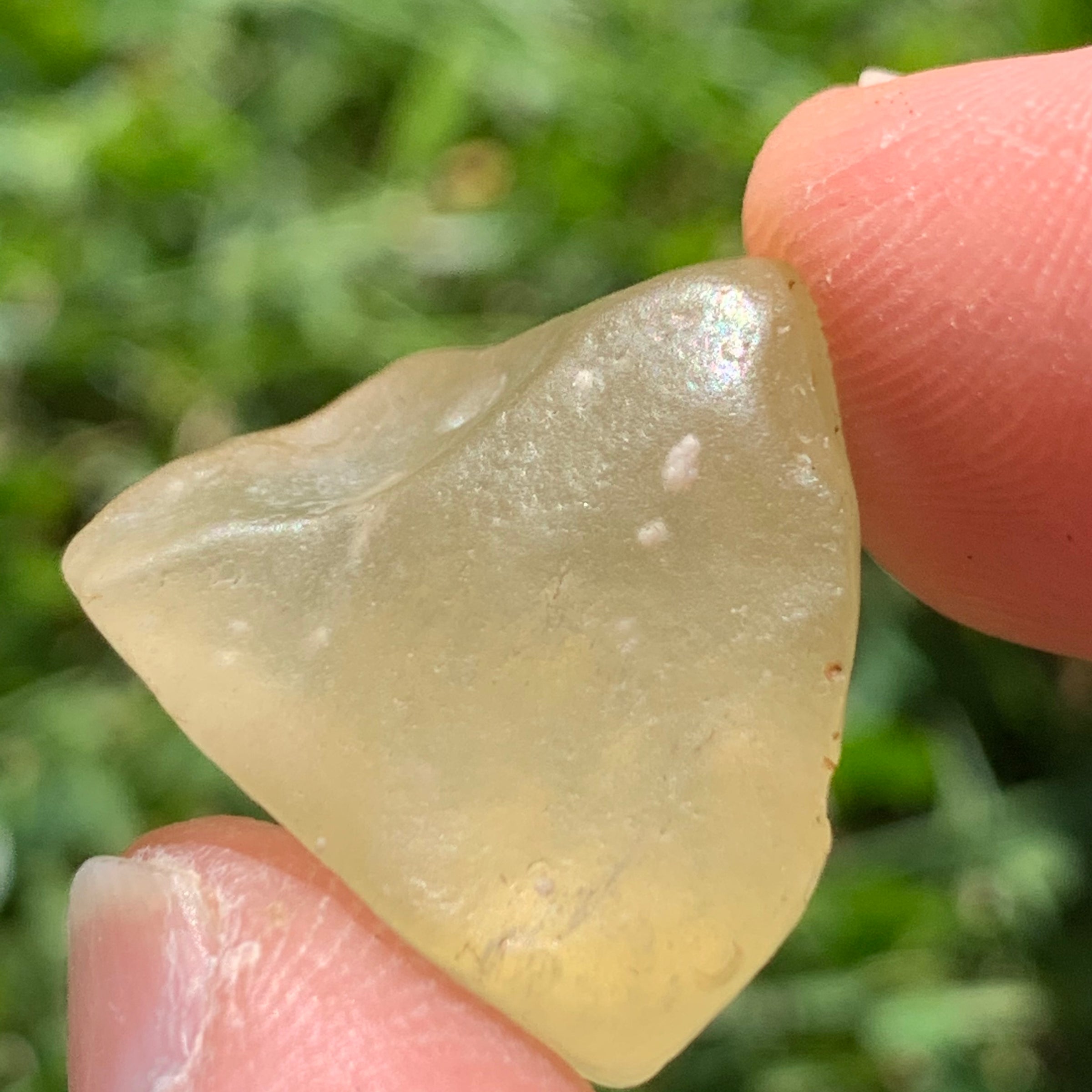 Libyan Desert Glass 7.4 grams-Moldavite Life